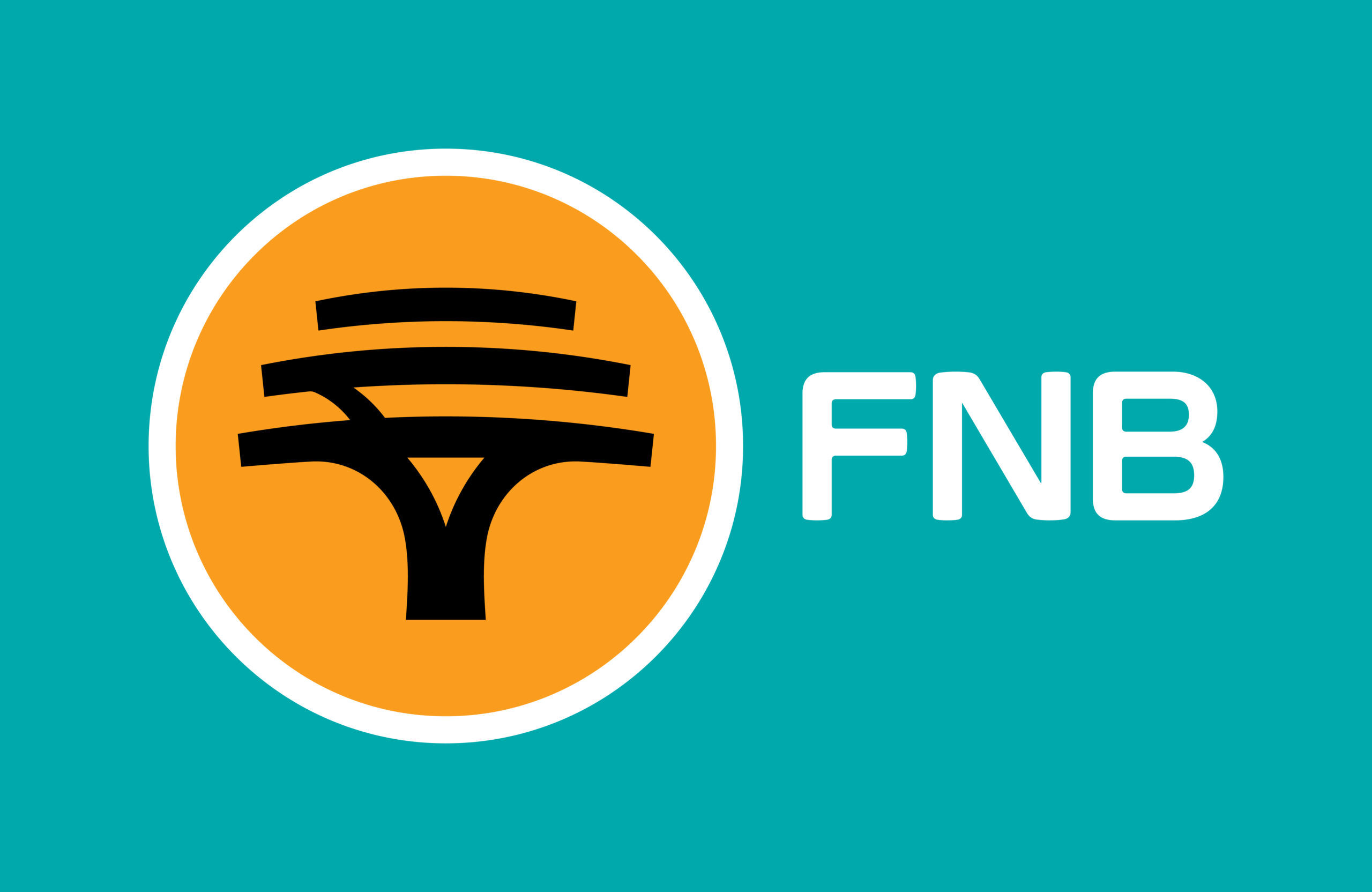 Logo_White FNB Wordmark_Horizontal_RGB FA